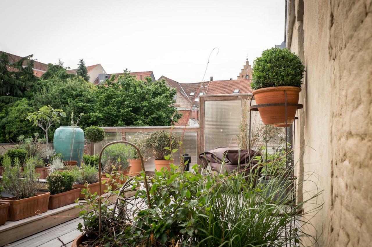 Csar Private Guesthouse Brugge Bagian luar foto